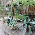 Ambiente קישקונהלש