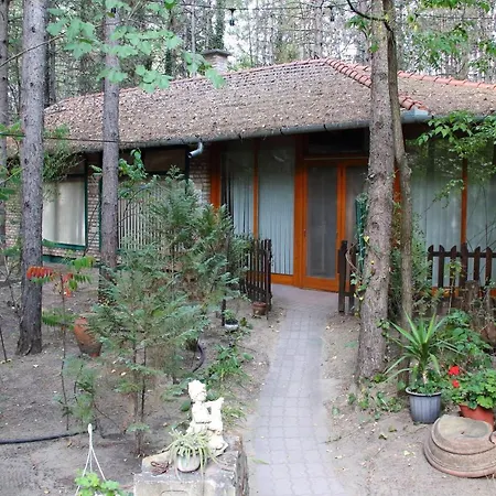 Alojamento de Acomodação e Pequeno-almoço Ambiente Kiskunhalas