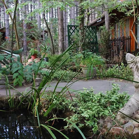 Ambiente Kiskunhalas