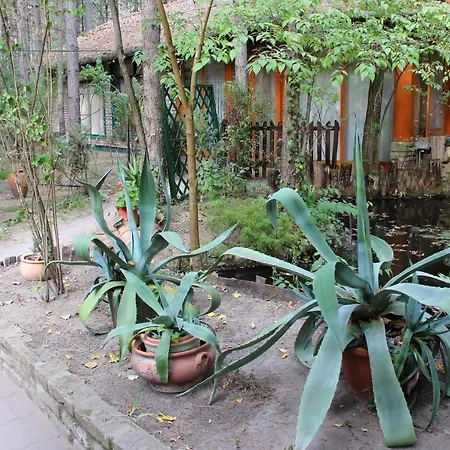 Ambiente Kiskunhalas