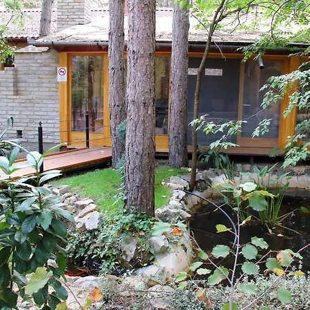 B&B Ambiente 키슈쿤헐러시