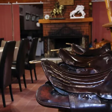 Ambiente Alojamento de Acomodação e Pequeno-almoço 3*