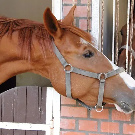 فندق مبيت وإفطار Ambiente كيسكونهالاس