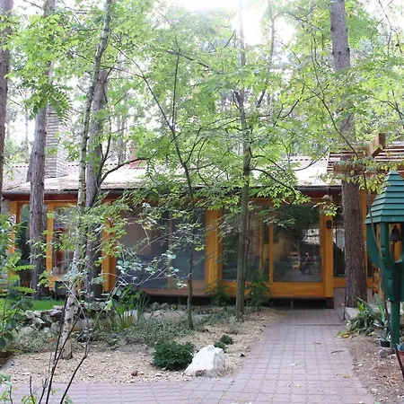 Alojamento de Acomodação e Pequeno-almoço Ambiente