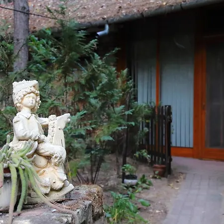 Alojamento de Acomodação e Pequeno-almoço Ambiente 3*