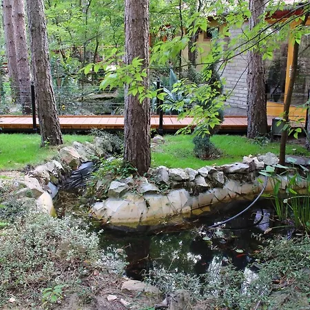 Ambiente Bed and Breakfast Kiskunhalas