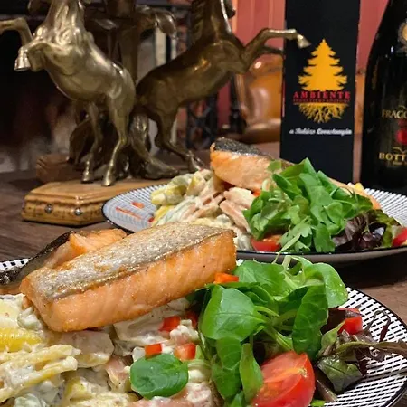 Ambiente Alojamento de Acomodação e Pequeno-almoço 3*