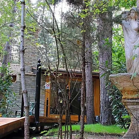 Ambiente Bed & Breakfast Kiskunhalas