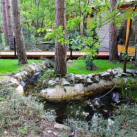 Ambiente Kiskunhalas