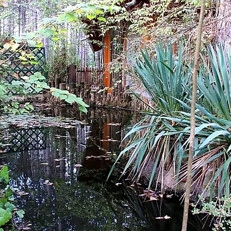 Bed & Breakfast Ambiente 3*