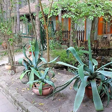Bed & Breakfast Ambiente